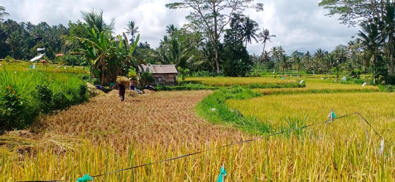 Rindu Homestay Undisan Bagian luar foto